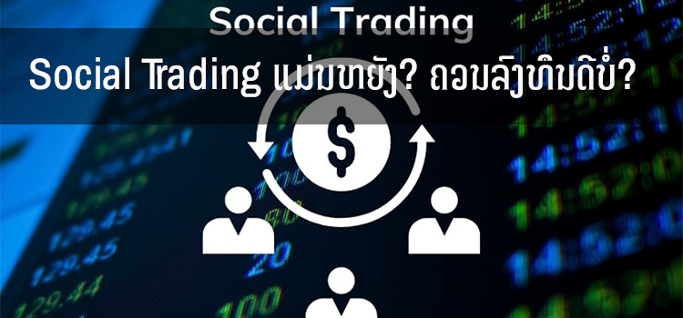 Social Trading ແມ່ນຫຍັງ? ຄວນລົງທຶນດີບໍ່?