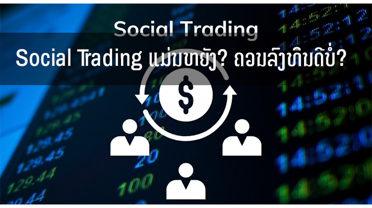 Social Trading ແມ່ນຫຍັງ? ຄວນລົງທຶນດີບໍ່?